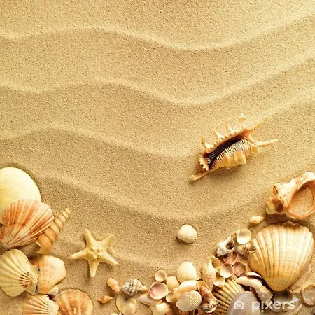 White Aurora Porto Cesareo